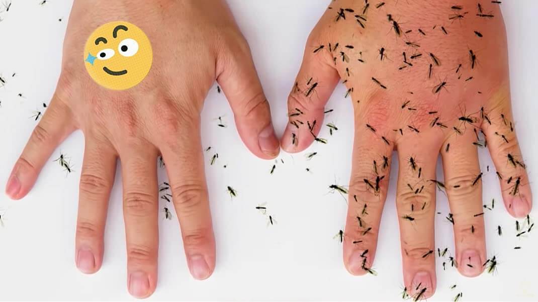 Naturlige myggplaster