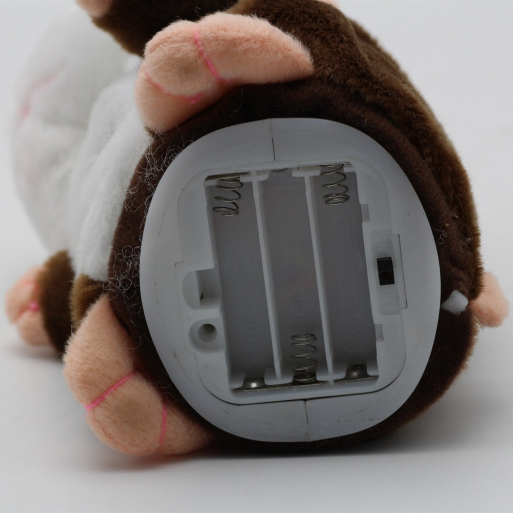 Hamsteren Hammie