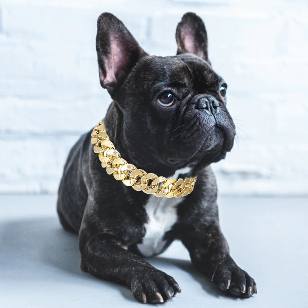 BlingBling Gullhundehalsbånd